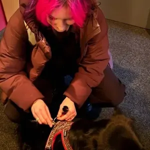 Kollegin legt einem Hund das Geschirr an