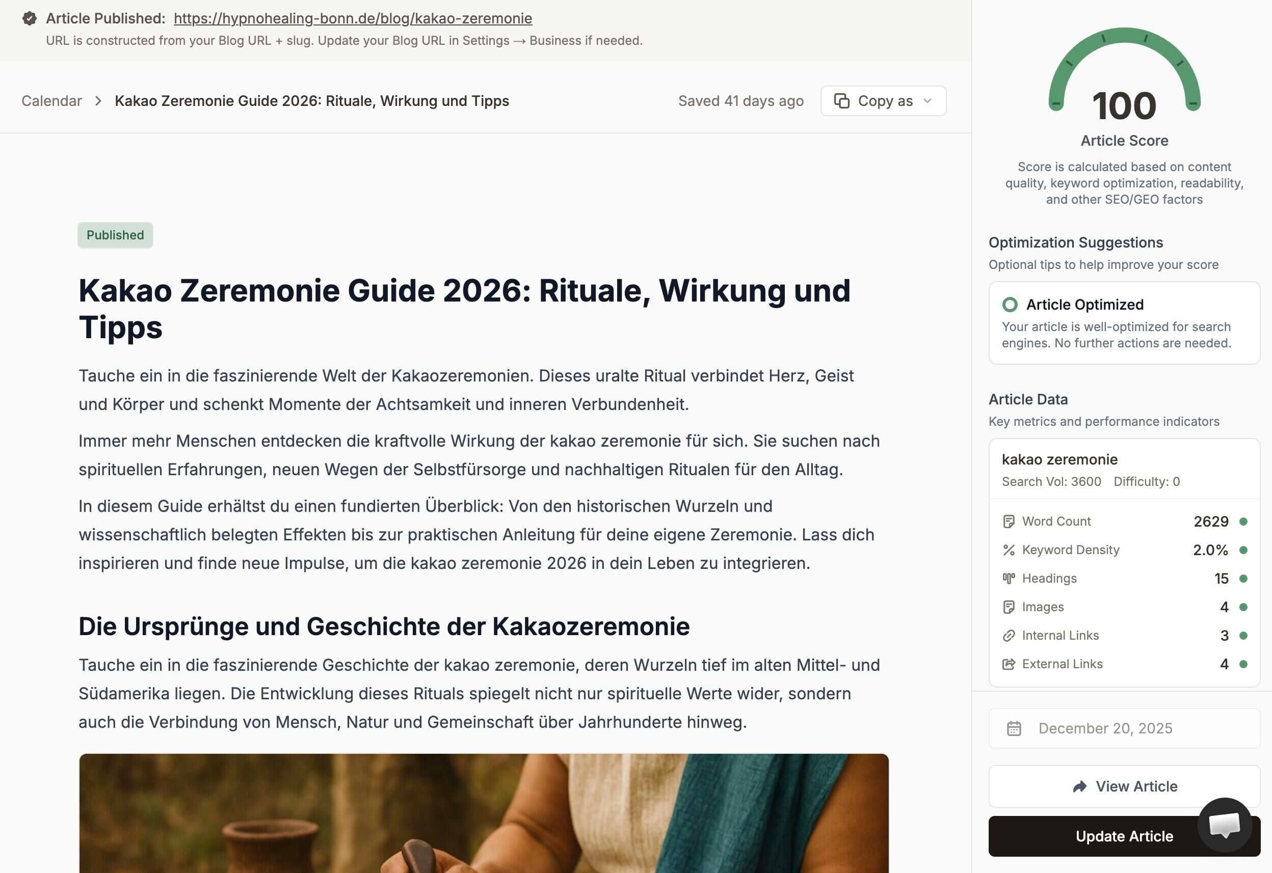 SEO Score 100 im Blog