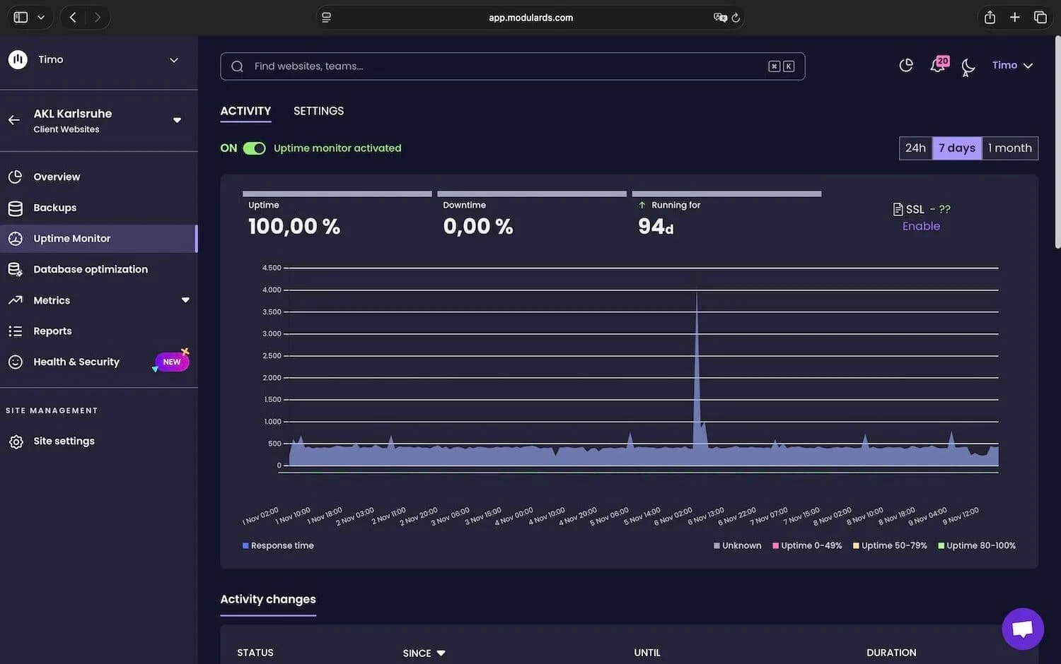Website Monitoring Dashboard